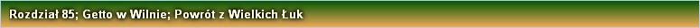 Rozdział 85; Getto w Wilnie; Powrót z Wielkich Łuk