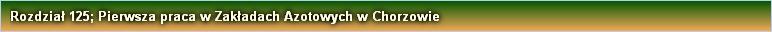 Rozdział 125; Pierwsza praca w Zakładach Azotowych w Chorzowie